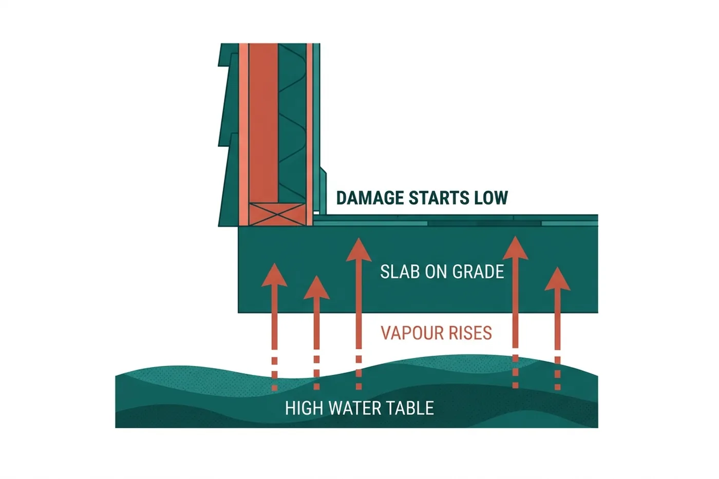 Diagram: water vapour rising through a slab-on-grade floor into wall bottom plates
